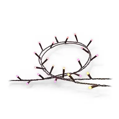 Philips Hue Festavia Smart 250 Multicolour LED Indoor/Outdoor Light String