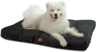 BEDSURE Hundekissen Groß Waschbar - 120x90cm XXL Hundematratze für Große, Mittlere Hunde Outdoor Gepolstertes Hundebett in Tiefschwarz bei 10cm Höhe, XL Kühlmatte für Haustiere