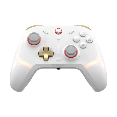 GameSir Cyclone 2 multi-Plattform kabel- und kabelloser Gamecontroller phantomweiß (Standardedition) für Switch/PC/iOS/Android/Steam