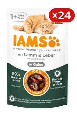 IAMS AN 1+ Lamm& Leber Gelee 24 x 85 g