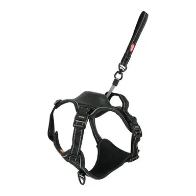 EASYRIDE TUIG ZWART L 63-80CM