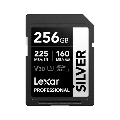 Lexar 256GB SD Card Silver, Up to 205MB/s Read, 140MB/s Write, SDXC UHS-I Memory Card, Class 10, U3, V30, SD Card for Professional Photographers, Videographers, Enthusiasts