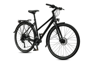 Rabeneick TS5 Lite Bike black Da 50