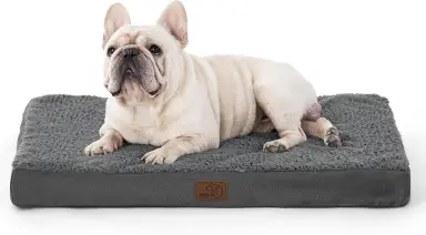 Bedsure Hundekissen, Ei-förmiger Schaumstoff für kleine, mittlere und große Hunde, Orthopädisches Hundebett, Gemütlicher Schlafbereich, 75 x 50 cm, Waschbar, Höhe 8 cm, grau
