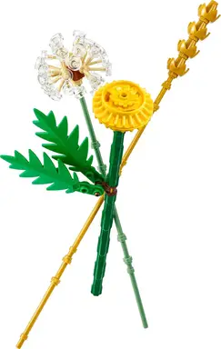 LEGO Botanicals Felderblumen Konstruktionsspielzeug