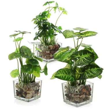 MyGift Set aus 3 künstlichen Pflanzen, kleine künstliche Zimmerpflanzen in klarem Glasgefäß, 24 cm Kunstpflanzen für Wohnungsdekoration