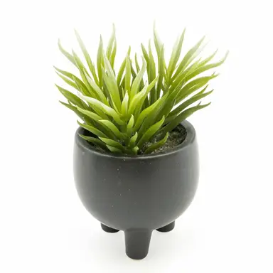 Candlelight Artificial Ice Plant Succulent in Ceramic Pot 15cm
