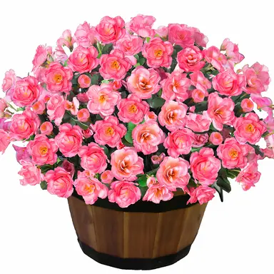 6Pcs 15.3in/38cm
Artificial Faux Outdoor Flowers Plants for Spring Summer Decoration, Fake Silk Camellia Look Real for Planter Outside Front Door Porch Patio Balcony(pink)