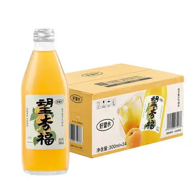 Hope water sprankelende abrikozensapdrank 300 ml × 24
