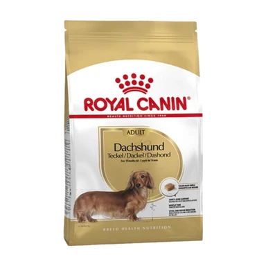 Royal Canin Croquettes pour Teckel adulte - 1,5 kg