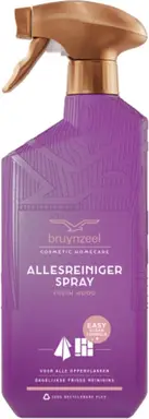 Bruynzeel Allesreiniger Spray Fresh Wood 500 ml
