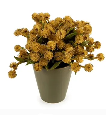 Candlelight Artificial Allium Plant in Ceramic Pot Yellow 20cm