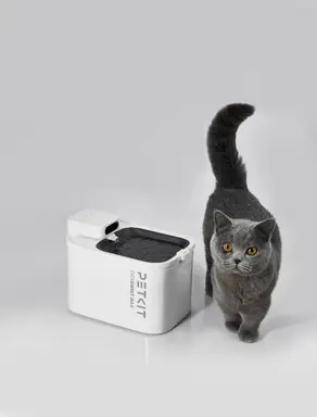 PETKIT Trinkbrunnen Eversweet Max – intelligent, für Haustiere