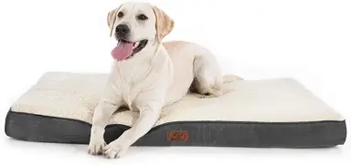 BEDSURE Hundekissen, Ei-Form-Schaumstoffkasten für kleine, mittlere und große Hunde, orthopädisches Hundebett, komfortables Schlaflager, 75 x 50 cm, waschbar, Höhe 8 cm, grau/beige