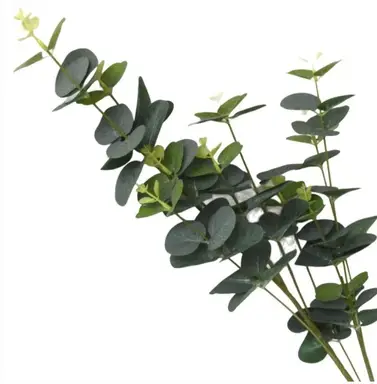 Candlelight Artificial Eucalyptus Leaf Stem Green 85cm