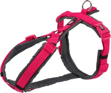 TRIXIE Jollypaw tuig premium trek fuchsia/grijs 53-64 x 2 cm