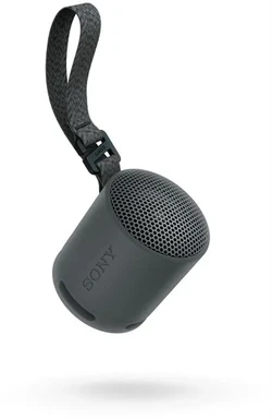 Sony SRS-XB100 - Kabellos Bluetooth, tragbar, leicht, kompakt, Outdoor-, Reise-Lautsprecher, robust IP67 wasserdicht und staubdicht, 16 Std. Akku, Tragegurt, Freisprechen, Neues Modell, Schwarz