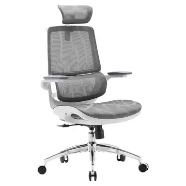 Sihoo M59AS ergonomischer Bürostuhl, Schreibtischstuhl mit 3D-verstellbaren, hochklappbaren Armlehnen, Computerstuhl mit zweigeteilter Rückenlehne und adaptiver dynamischer Lendenwirbelstütze (grau)