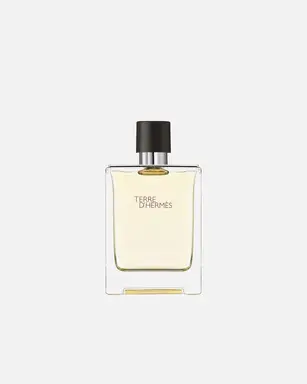 Hermès - Terre d'Hermès eau de toilette 100 ml