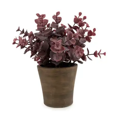Candlelight Artificial Eucalyptus Plant in Rustic Pot 23cm