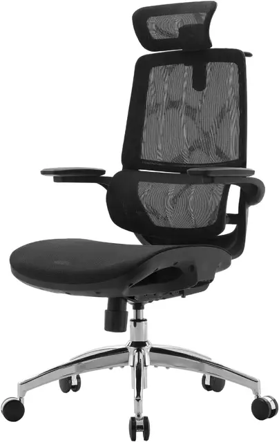 Sihoo M59AS ergonomischer Bürostuhl mit 3D-verstellbaren, hochklappbaren Armlehnen, doppeltem Rückenlehnen-Design und adaptiver Lordosenstütze, Netzschreibtischstuhl fürs Homeoffice (Schwarz)