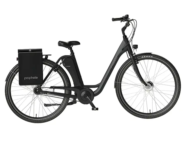 Prophete E-Bike 28 Zoll bis zu 120 km Reichweite Frontmotor LED-Display Geniesser 1.0 City