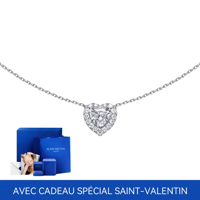 ALAIN MICHAL Collier Attachment En Argent  – avec cadeau spécial Saint-Valentin