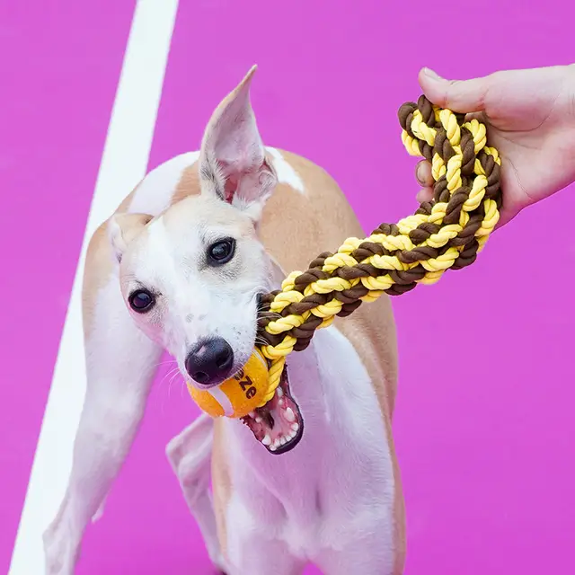 ZEZE "Really?" Rope Ball Pet Toy, Interactive Chew Toy for Cats Dogs (Yellow)