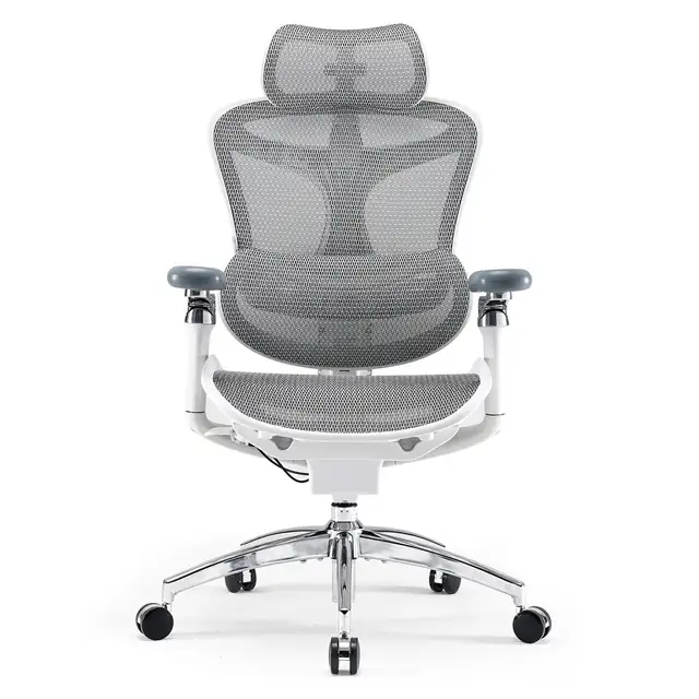 SIHOO Doro C300 Pro Ergonomic Office Chair with Ultra-Soft 6D Armrests, Dynamic Lumbar Support, Seat Depth Adjustment and Adjustable Backrest Desk Chair for Home Office (White)