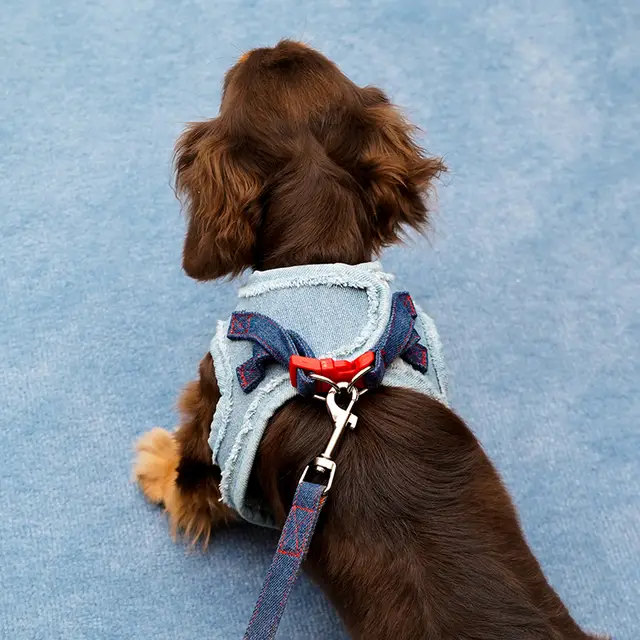 ZEZE Denim Dog & Cat Harness Leash Set, Adjustable Leash, Size L, Suitable for 7–12.5 kg