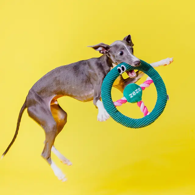 ZEZE Steering Wheel Rope Pet Toy, Interactive Chew Toy for Cats & Dogs (Dark Green) 23 x 23 x 3.5 cm, Built-In Sound Effects