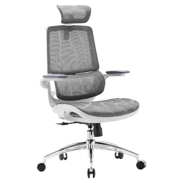 Sihoo M59AS ergonomischer Bürostuhl, Schreibtischstuhl mit 3D-verstellbaren, hochklappbaren Armlehnen, Computerstuhl mit zweigeteilter Rückenlehne und adaptiver dynamischer Lendenwirbelstütze (grau)