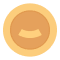 pointIcon