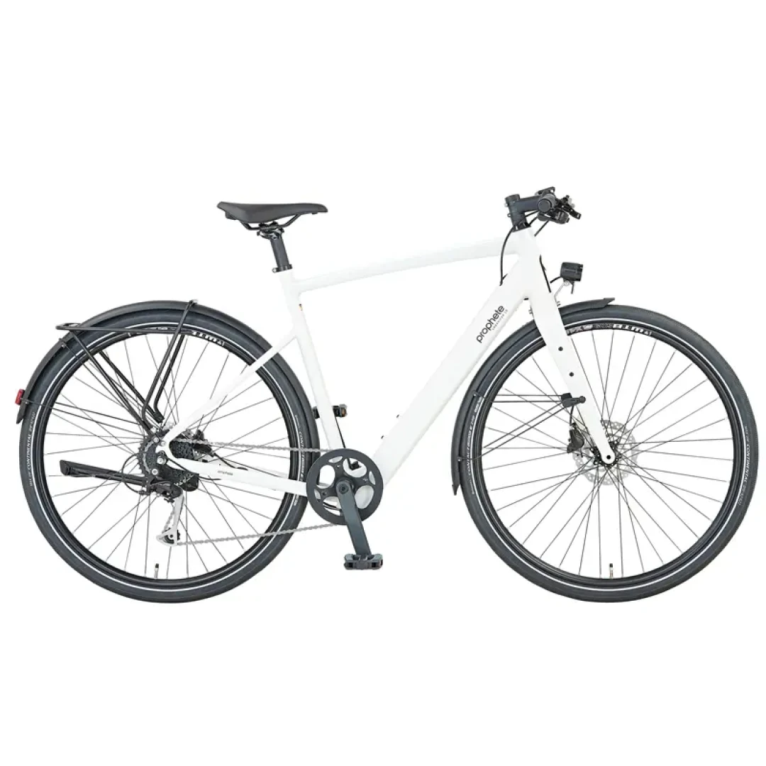 Prophete E-Bike 28 Zoll Bis zu 110 km Reichweite Heckmotor LCD-Display Urbanicer 2.0 53 cm Rahmenhöhe