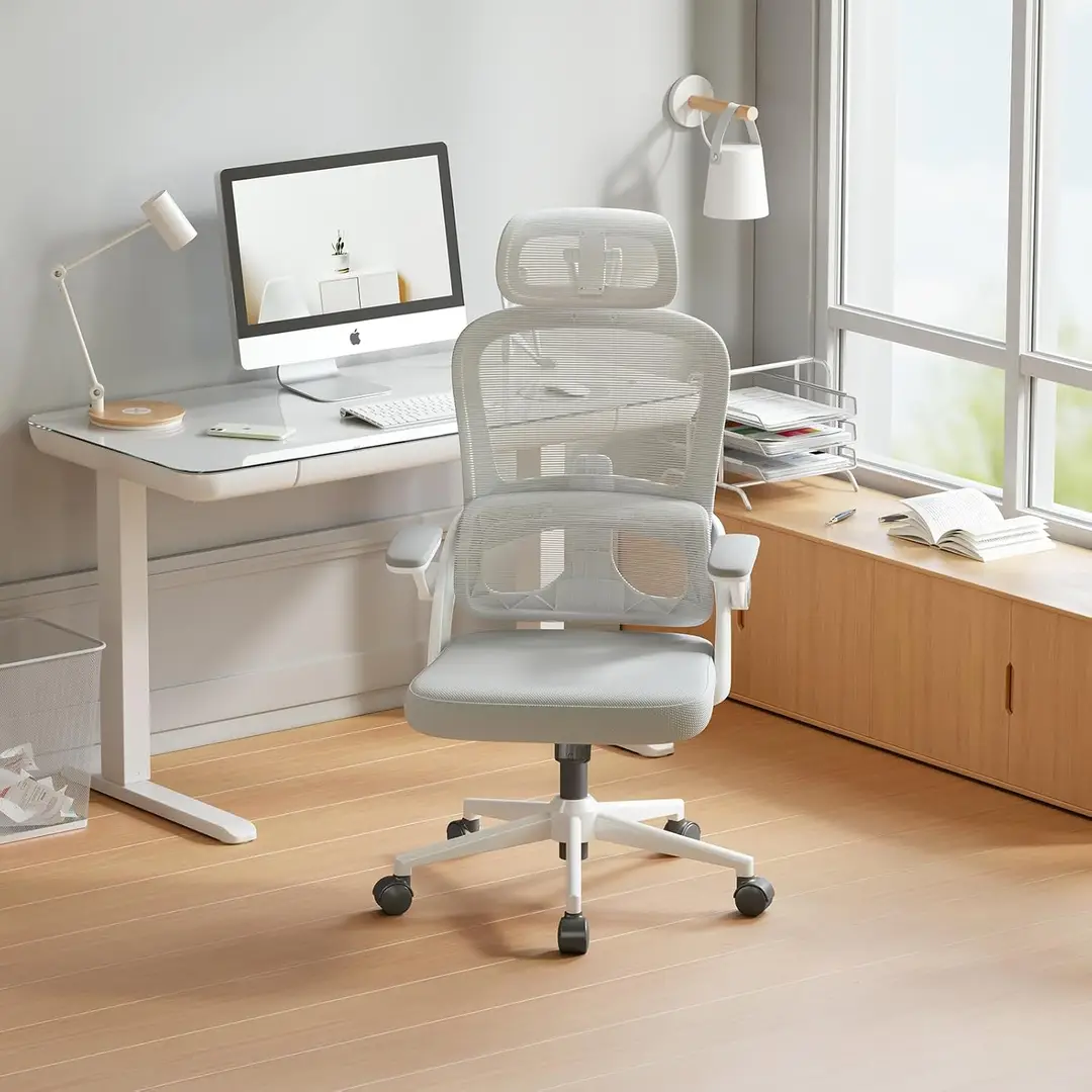 SIHOO M102C Ergonomic Mesh Office Chair, High Back desk chair with 3D Armrests,
Up&Down Lumbar Support, Swivel Computer Task Chair, White Frame and
Light Grey Mesh