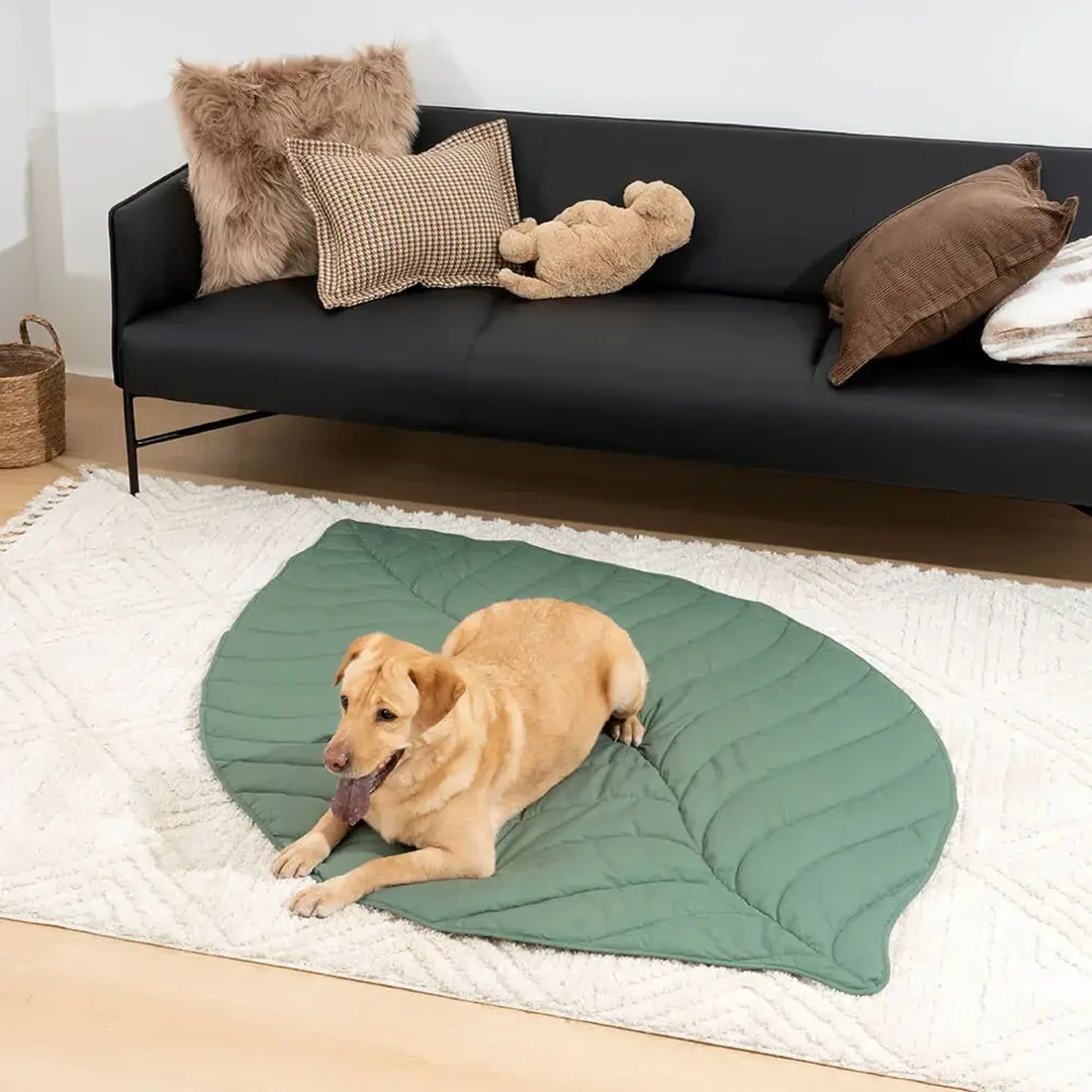 FUNNYFUZZY Versatile Leaf-Shaped Dog Blanket - Green