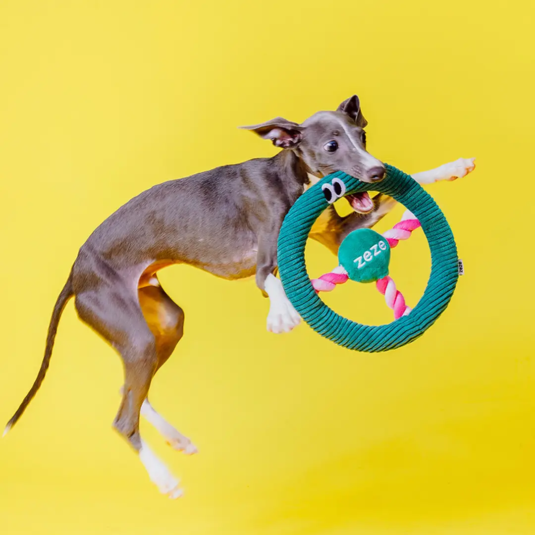 ZEZE Steering Wheel Rope Pet Toy, Interactive Chew Toy for Cats & Dogs (Dark Green) 23 x 23 x 3.5 cm, Built-In Sound Effects