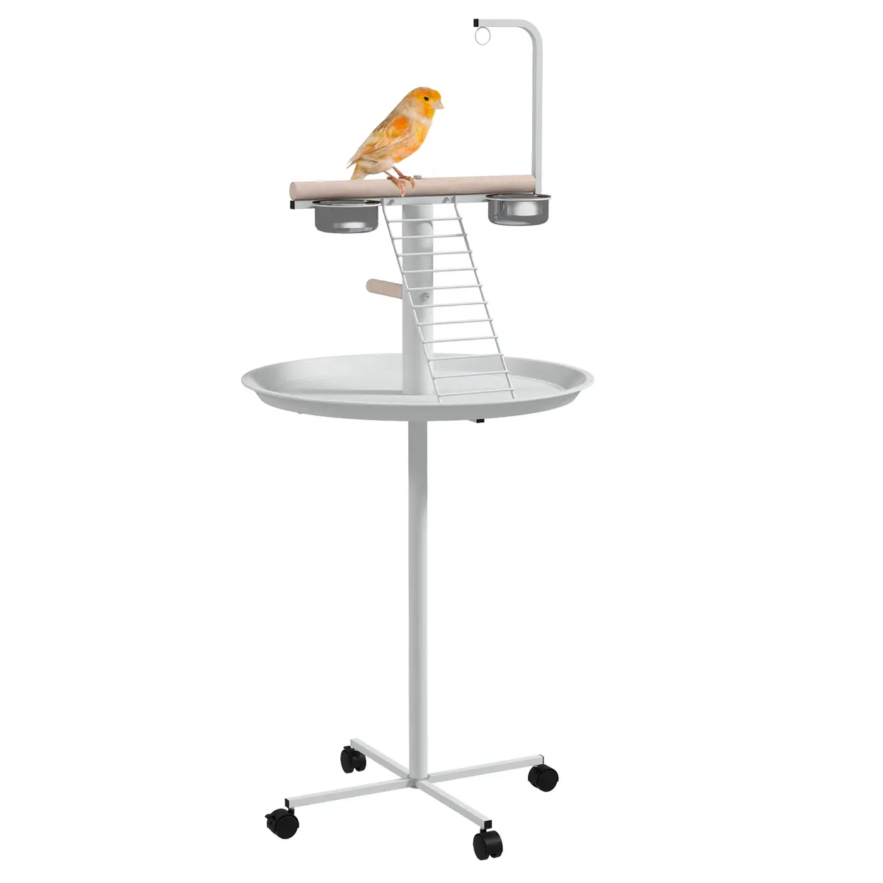 Vogelfutterstation Balkon – Vögel naturnah füttern