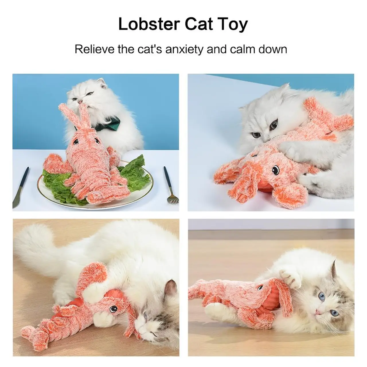A Clever Catch for Curious Cats