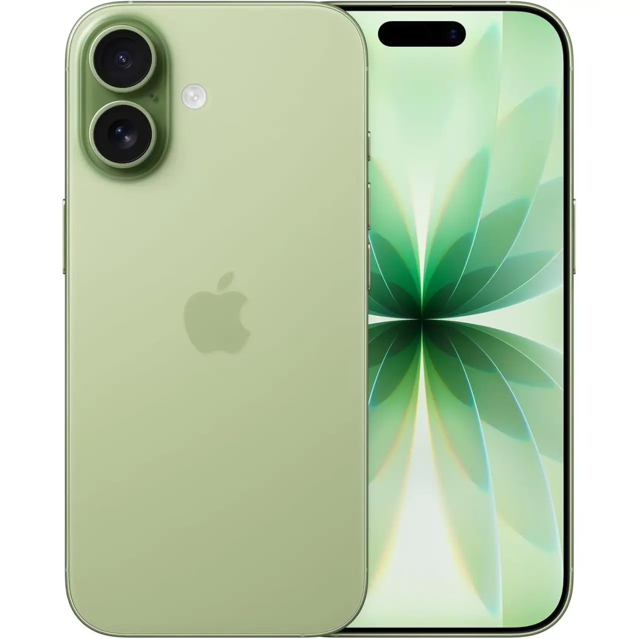 Apple iPhone 17 512GB 鼠尾草绿：清爽大容量之选