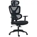 Vinsetto Ergonomic Office Chair, Mesh Swivel Desk Chair with Lumbar Support, Padded Seat, Adjustable Height and Headrest for Home Office, Black image 0