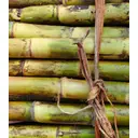 Canadou Cane Sugar Syrup 700ml image 2