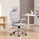 HOMCOM Ergonomic Office Chair, High Back Mesh Computer Desk Chair with Adjustable Headrest and Lumbar Support, Flip-up Armrests for Home Office, Grey image 1