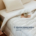 MORPHEA Couette chaude en plumes et duvet de canard - 240 x 260 cm image 6