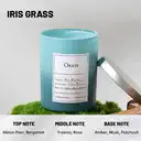 Zooly Dopamine Gradient-Colored Scented Candle - Iris Grass, 240G, 1PC image 1