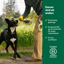 Earth Rated Jouet à mâcher en caoutchouc - 10 x 6,5 x 10 cm image 1