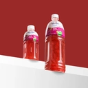 Mogu Mogu Grape Drink with Nata de Coco 1L image 2