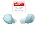 Sony WF-C510 True Wireless Earbuds (Blue) image 2