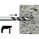 RAWLPLUG Rawlbolt® Loose Bolt M10/10L (Bag 5) image 1