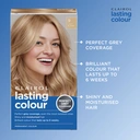 Clairol Lasting Colour Permanent Colour Hair Dye 9 Light Blonde 1 Pack image 1